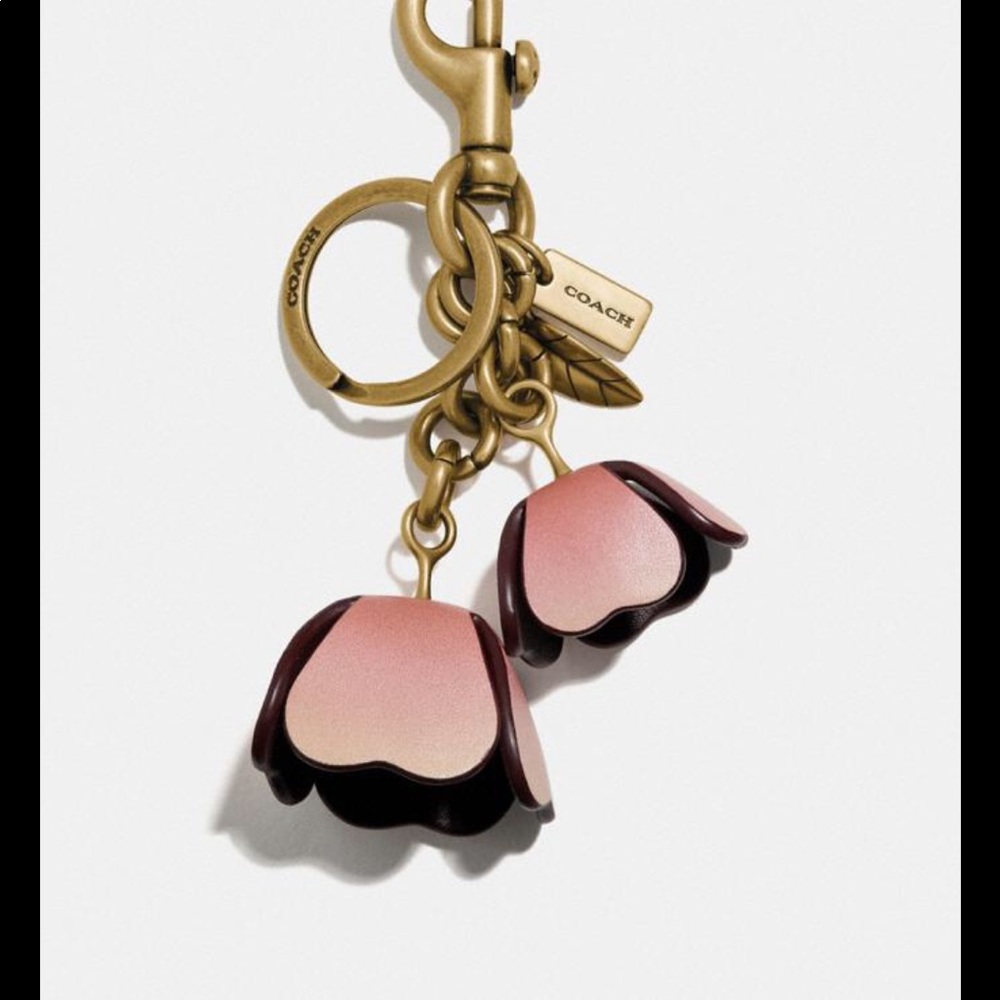 Coach Ombré Bag Charm Keychain
